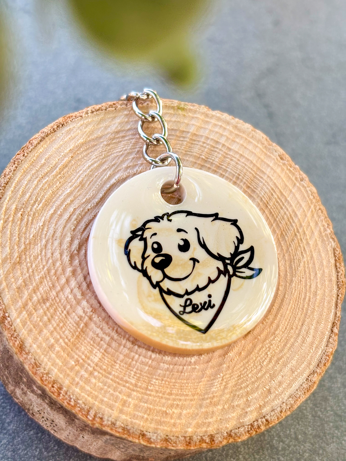 Lexi Hundefris&ouml;r Leonberg